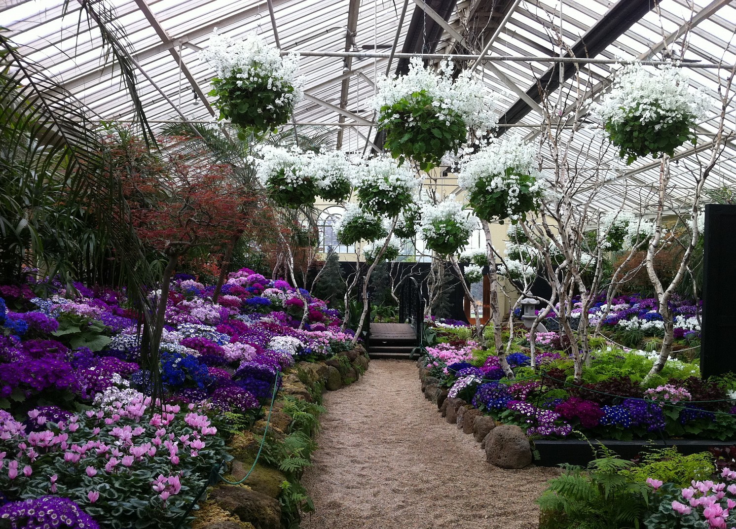 Vườn Thực Vật Fitzroy