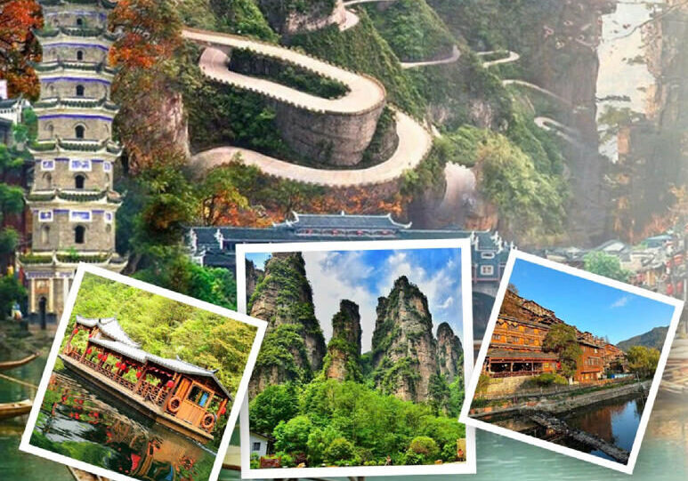 PHƯỢNG HOÀNG CỔ TRẤN